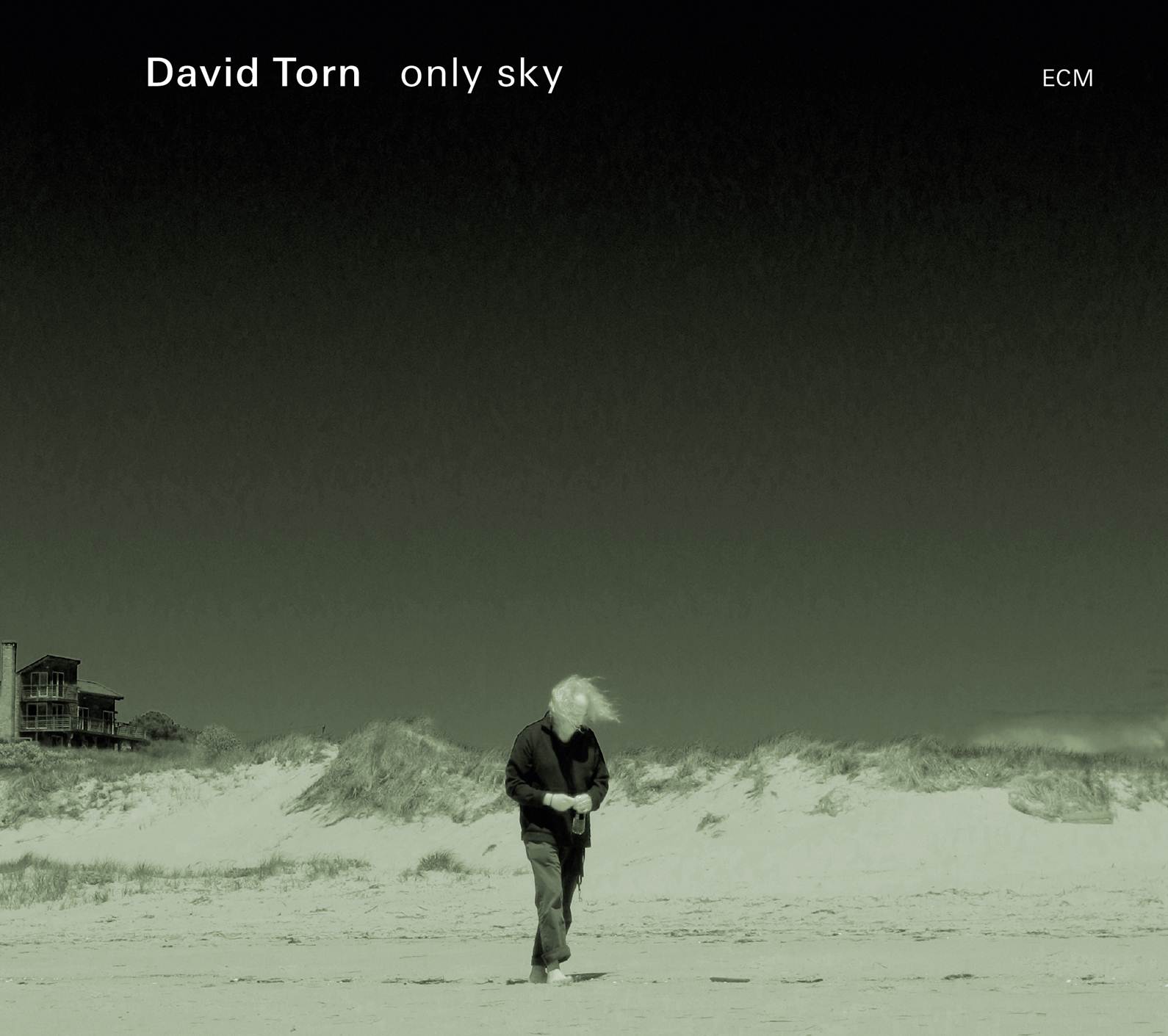 David Torn - only sky cover